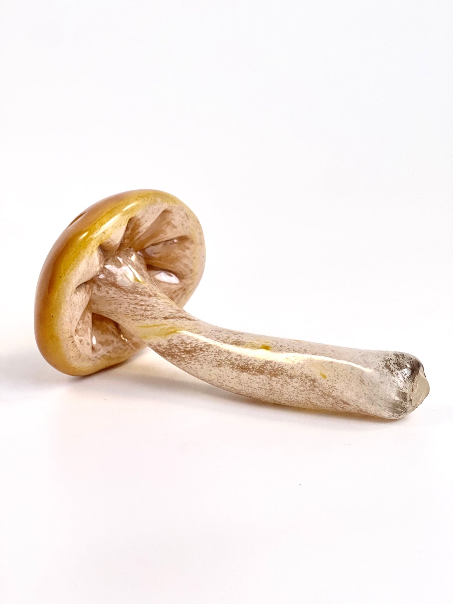 Mushroom - Shiitake