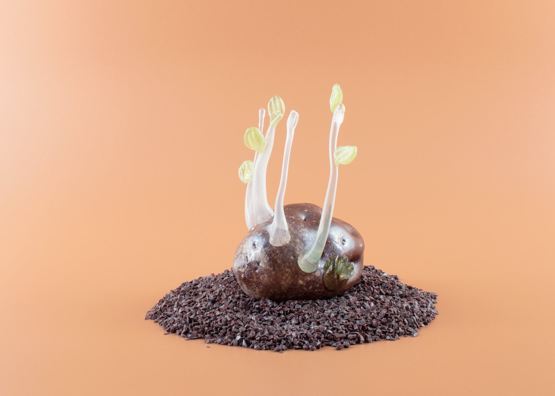 Forgotten Potato 17
