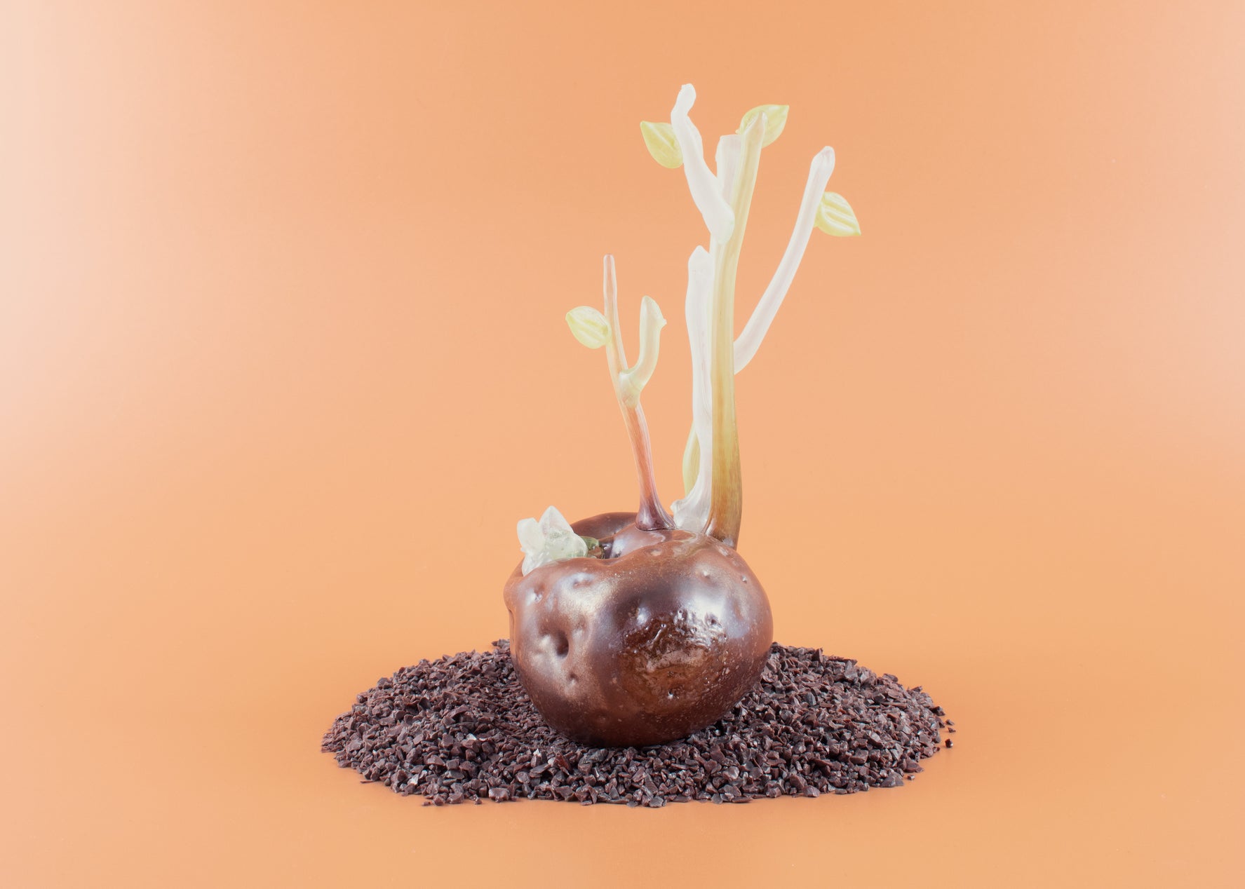 Forgotten Potato 19
