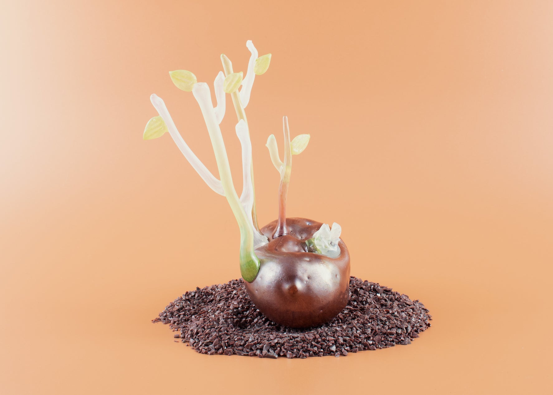 Forgotten Potato 19
