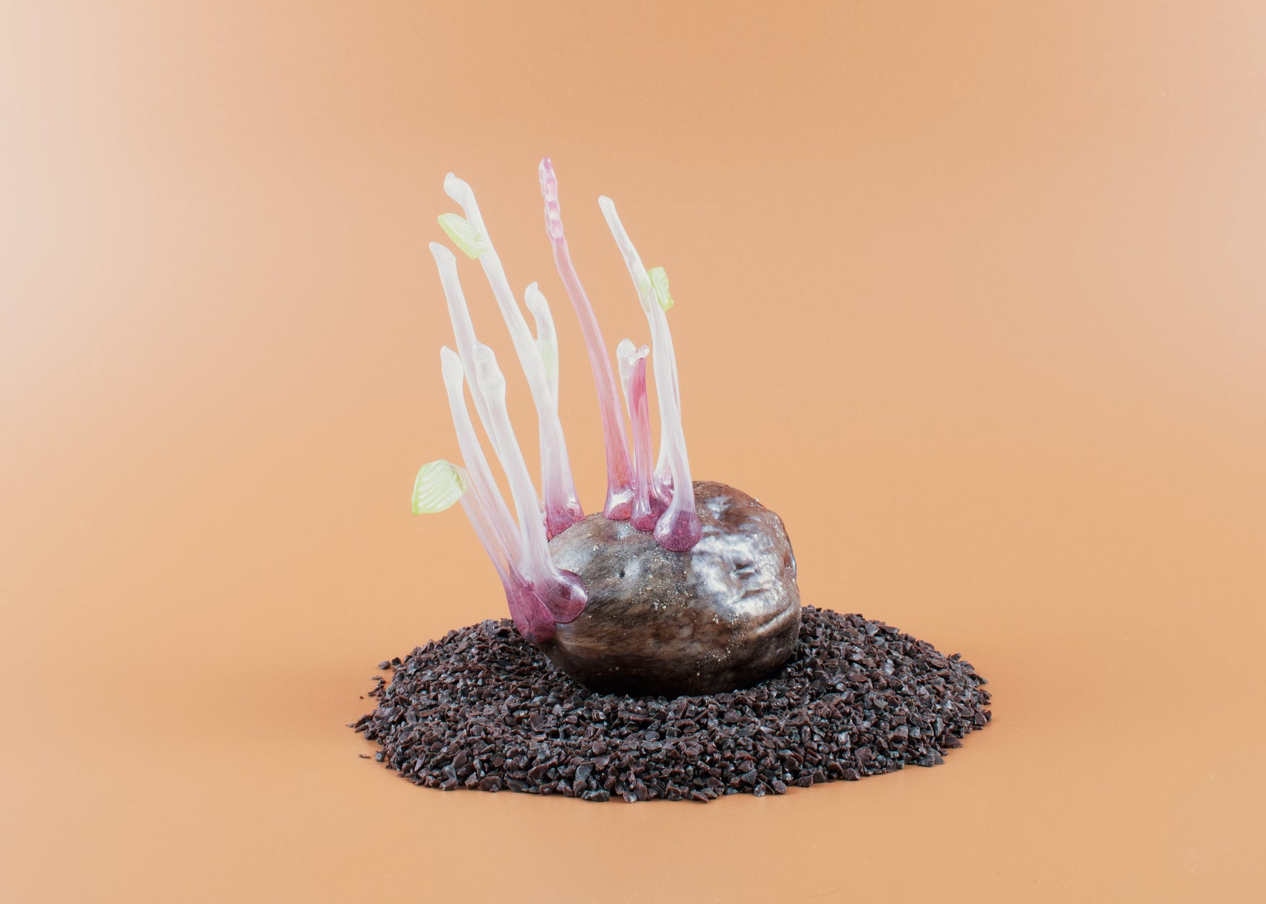 Forgotten Potato 20