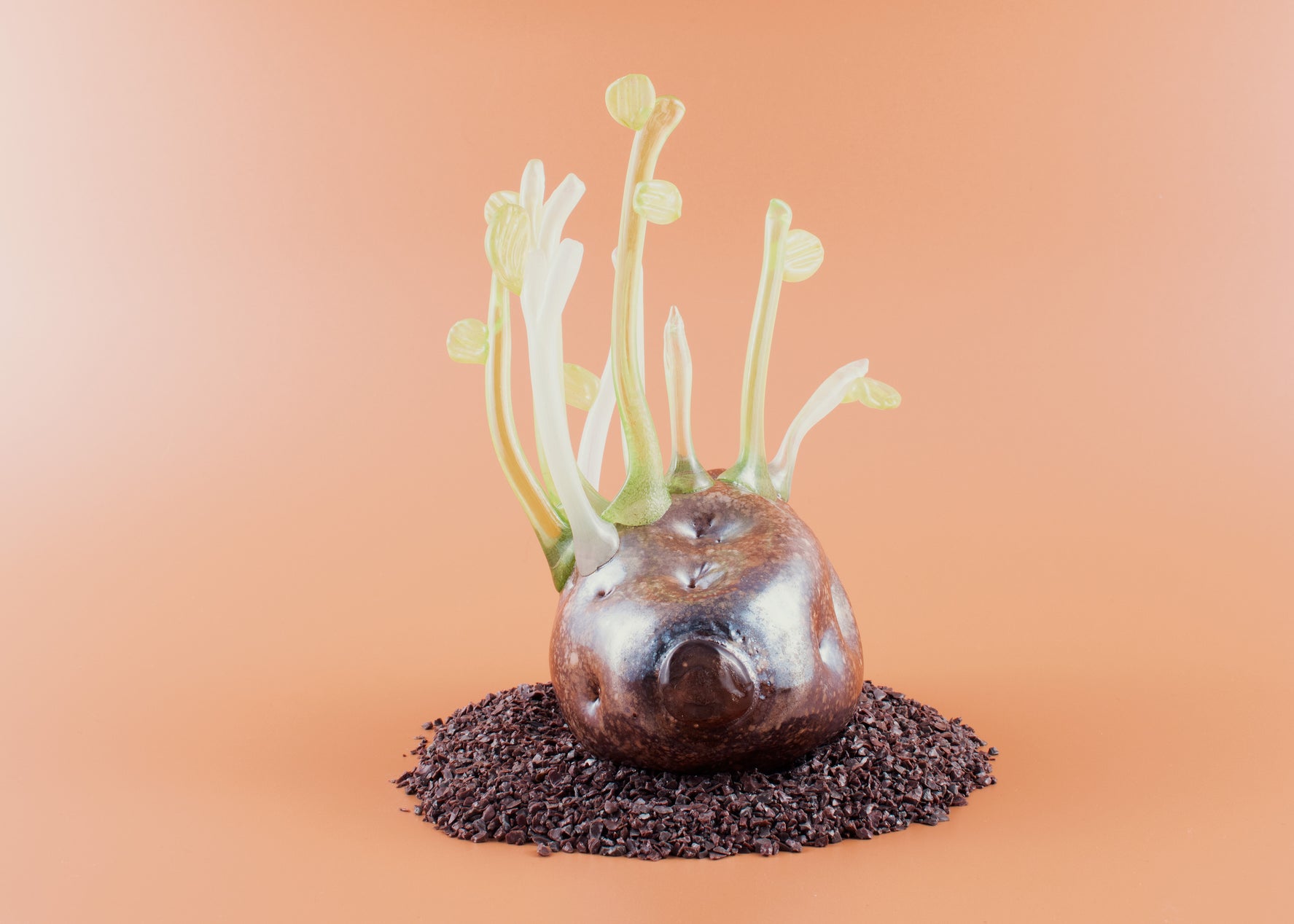 Forgotten Potato 21