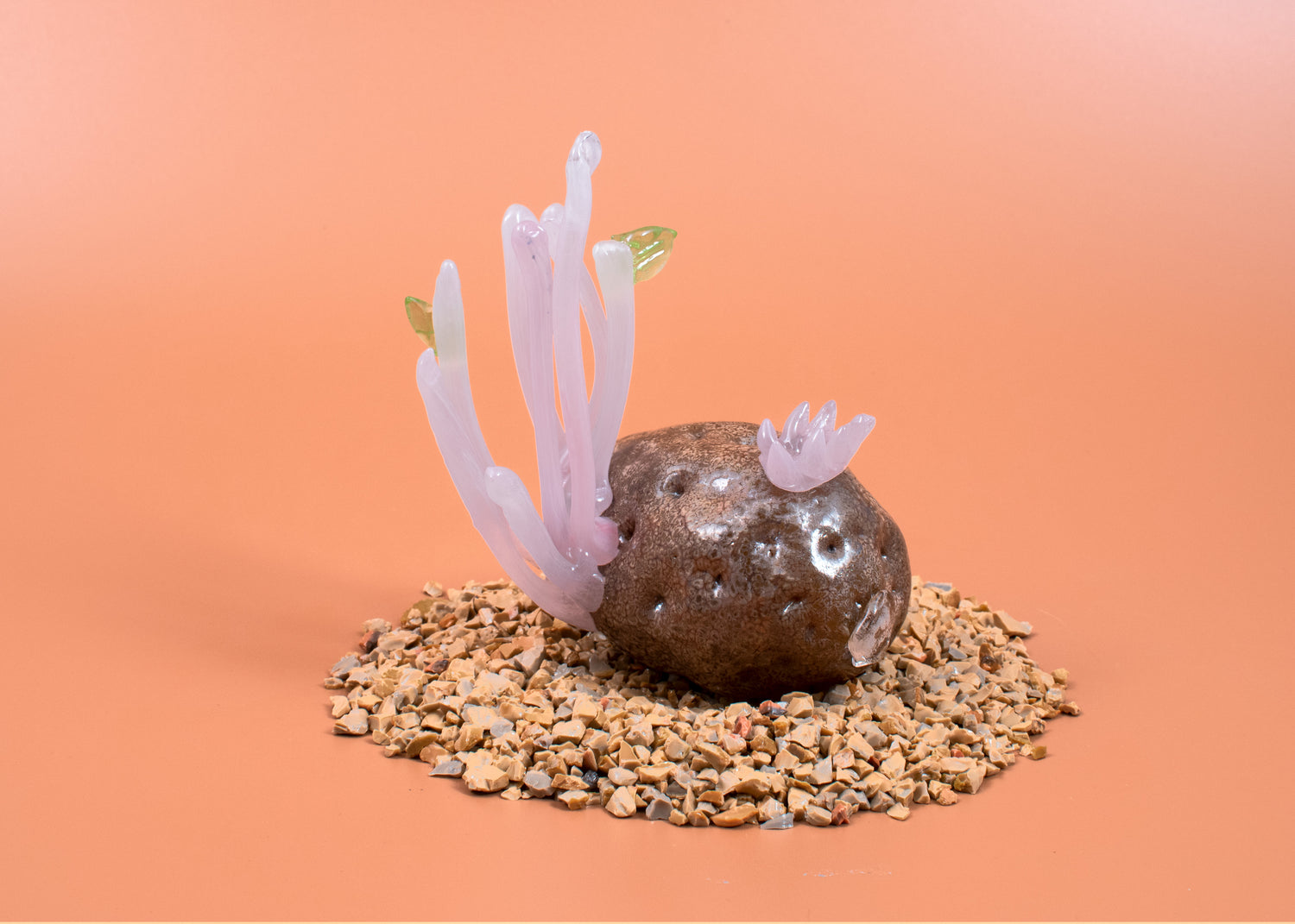 Forgotten Potatoes