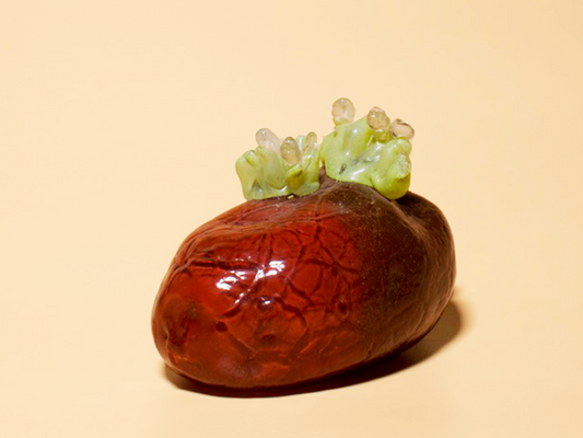 Forgotten Potato 3